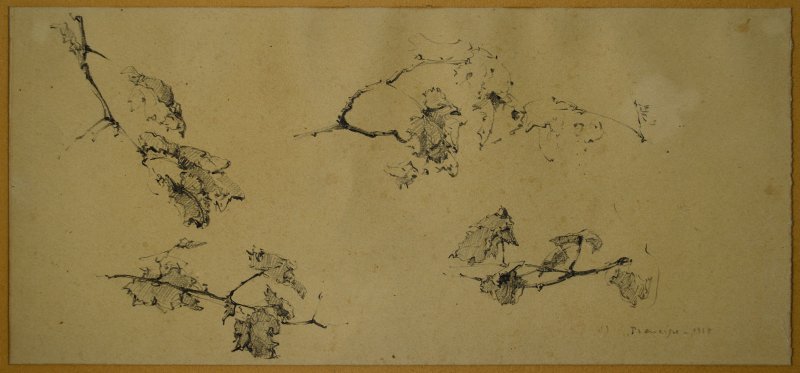 1938 -  Panorama di Orvieto (studio di foglie)